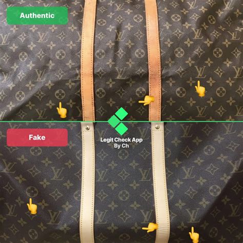 check my louis vuitton bag.